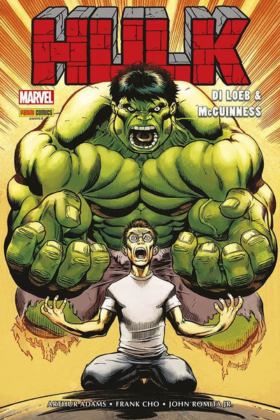HULK DI LOEB & MCGUINNESS OMNIBUS