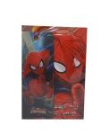 MARVEL - BIGLIETTO AUGURI (COMPLEANNO) CON SEGNALIBRO - 11.8X16.8 - SPIDER-MAN (SEI TU IL MIO...SUPER EROE PREFERITO)